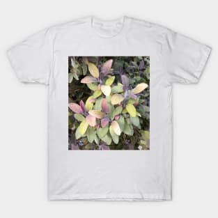 Purple Sage T-Shirt